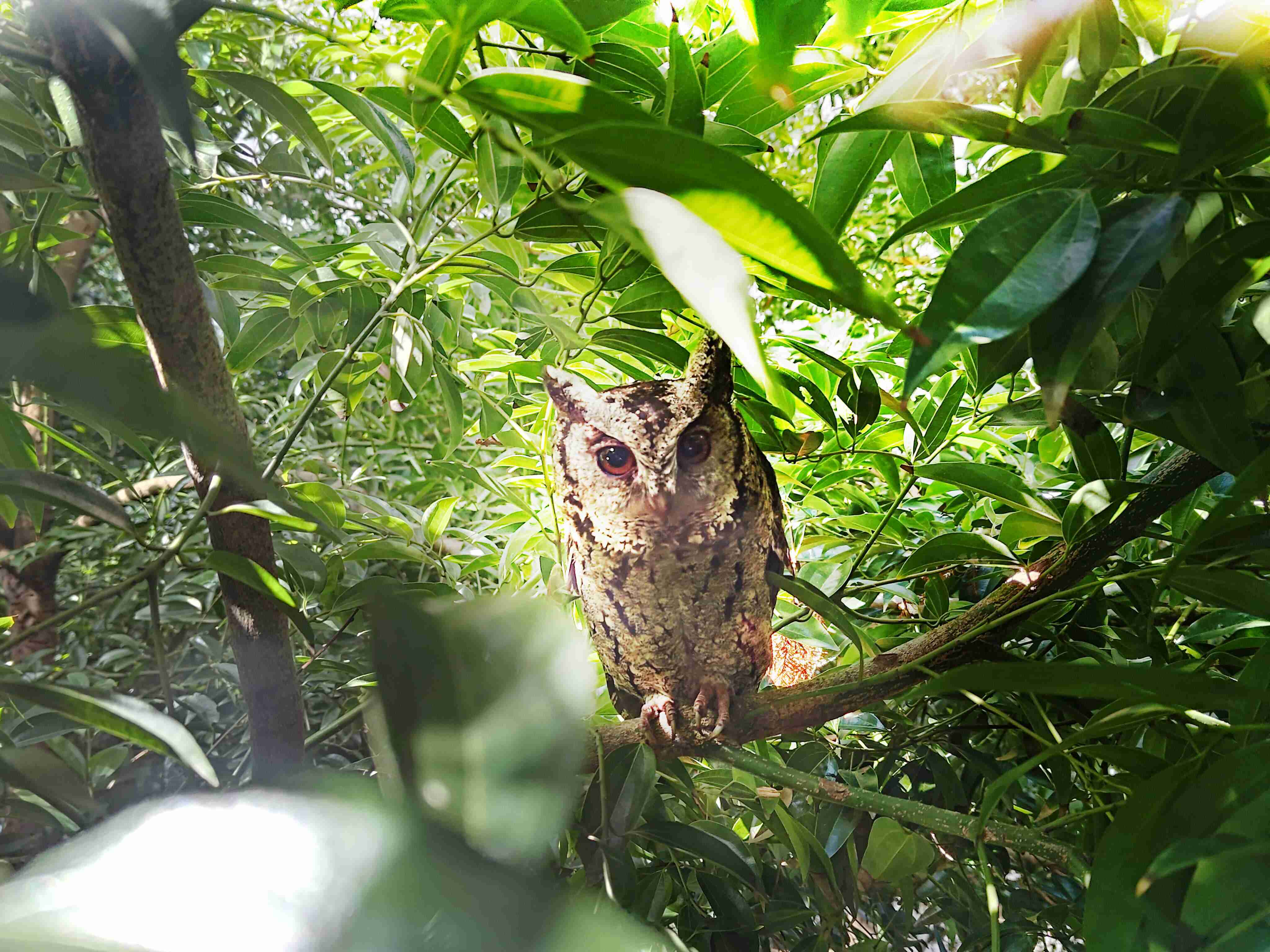 银河集团致力提倡净零绿生活，，16年以来在全球各厂区植树逾百万棵，，，，造就各厂区树木蔚然成林，，犹如森林工厂，，成为许多生物的栖息地